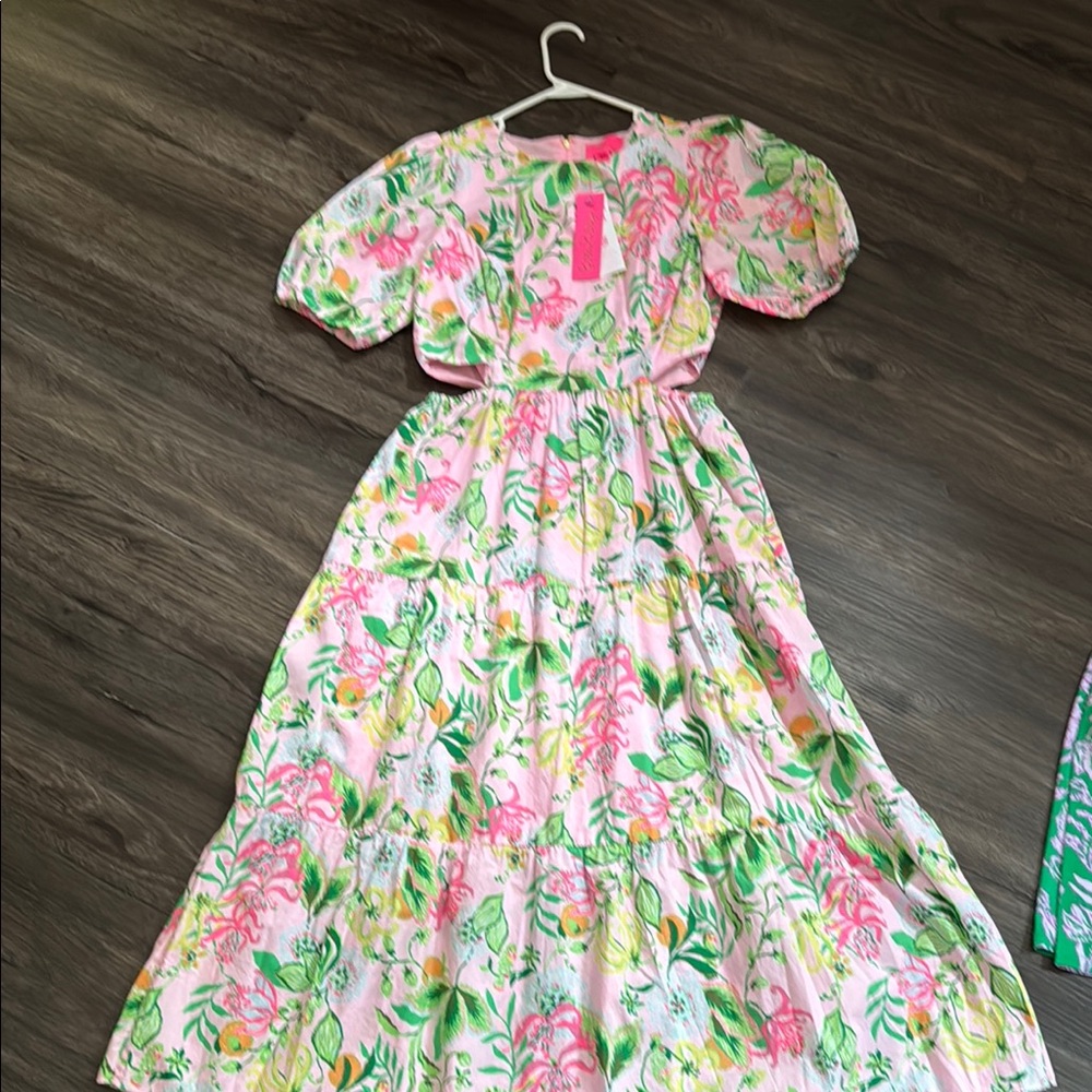 Lilly Pulitzer Pink and Green Floral Dress